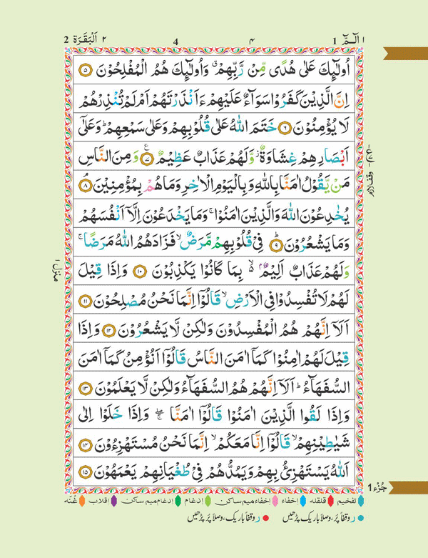 The Holy Quran with Color Coded Tajweed | LARGE SIZE  (Indo Pak script)