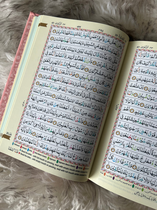 The Holy Quran (15 line)Tajweed Quran (Indo-Pak) | Pink