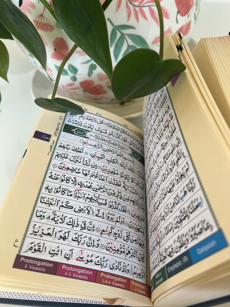 Tajweed Quran in Indo-Pak Script (Indo Pak)